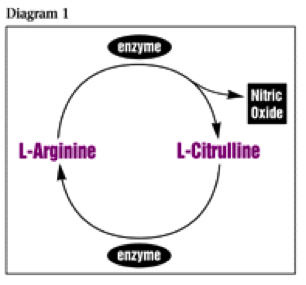 arginase