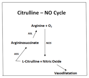 citrulline-nocycle